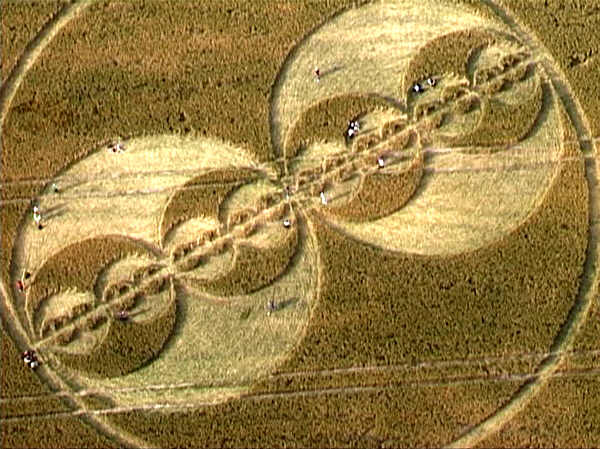 Clifford's Hill, Wiltshire crop circle, aerial photo 2