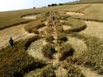 Clifford's Hill, Wiltshire crop circle, aerial photo 3