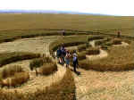 Clifford's Hill, Wiltshire crop circle, aerial photo 8
