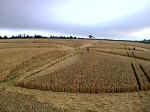 Englishcombe, Somerset crop circle, aerial photo 4