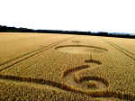 Gog Magog Hills, Cambridgeshire crop circle, aerial photo 10