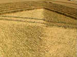 Gog Magog Hills, Cambridgeshire crop circle, aerial photo 14
