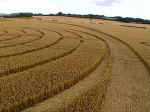 Gog Magog Hills, Cambridgeshire crop circle, aerial photo 8