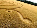 Gog Magog Hills, Cambridgeshire crop circle, aerial photo 9