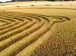 Gog Magog Hills, Cambridgeshire crop circle, aerial photo 15