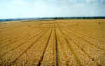 Gog Magog Hills, Cambridgeshire crop circle, aerial photo 6
