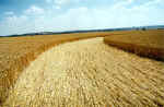 Gog Magog Hills, Cambridgeshire crop circle, aerial photo 7