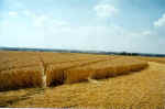 Gog Magog Hills, Cambridgeshire crop circle, aerial photo 8