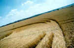 Gog Magog Hills, Cambridgeshire crop circle, aerial photo 10