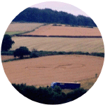 Hardstoft2001.gif (98725 bytes)