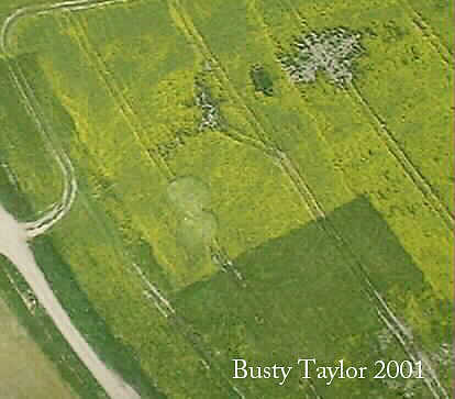 Honey Street(1), Wiltshire crop circle, aerial photo 2