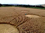 Huish (1), Wiltshire crop circle, aerial photo 6