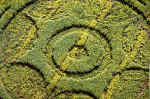 Hurn, Dorset crop circle, aerial photo 4