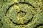 Hurn, Dorset crop circle, aerial photo 3
