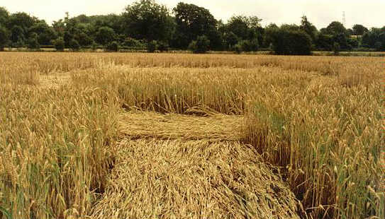 Crop Art at Luddingstone Castle, Kent crop circle, aerial photo 3
