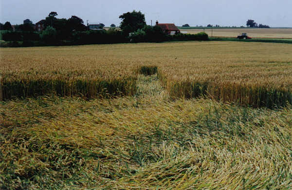 Marsham, Norfolk crop circle, aerial photo 2