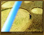 Milk Hill (2), Wiltshire crop circle, aerial photo 8