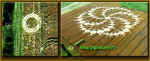 Milk Hill (2), Wiltshire crop circle, aerial photo 10