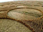 Milk Hill (2), Wiltshire crop circle, aerial photo 13