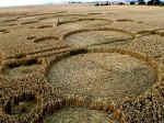Milk Hill (2), Wiltshire crop circle, aerial photo 11