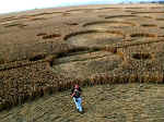 Milk Hill (2), Wiltshire crop circle, aerial photo 18
