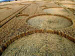 Milk Hill (2), Wiltshire crop circle, aerial photo 20
