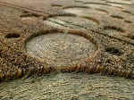 Milk Hill (2), Wiltshire crop circle, aerial photo 23