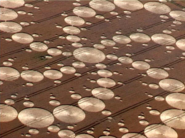 Milk Hill (2), Wiltshire crop circle, aerial photo 17