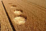 Newhouse Farm, Somerset crop circle, aerial photo 6