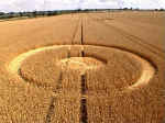 Newhouse Farm, Somerset crop circle, aerial photo 7