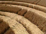 Newhouse Farm, Somerset crop circle, aerial photo 5