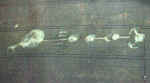 Seven Acre Wood, Somerset crop circle, aerial photo 3