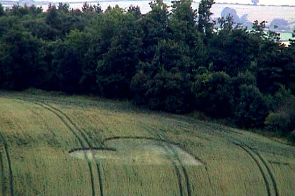 Seven Acre Wood, Somerset crop circle, aerial photo 2