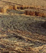 Shoreham, Kent crop circle, aerial photo 3
