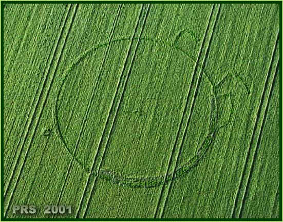 Avebury Manor, Wiltshire crop circle, aerial photo 10