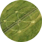 SouthHarting2001xc.gif (54222 bytes)