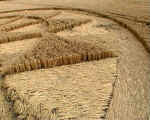 All Cannings Bridge, Wiltshire crop circle, aerial photo 11