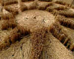 All Cannings Bridge, Wiltshire crop circle, aerial photo 10