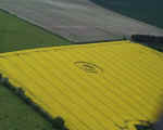 Old Winchester Hill, Hampshire crop circle, aerial photo 2