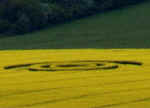 Old Winchester Hill, Hampshire crop circle, aerial photo 3