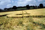 Whidcombe Brake, Somerset crop circle, aerial photo 15