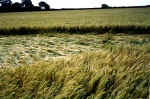 Whidcombe Brake, Somerset crop circle, aerial photo 17