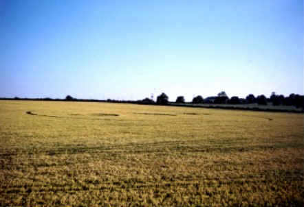 Whidcombe Brake, Somerset crop circle, aerial photo 10