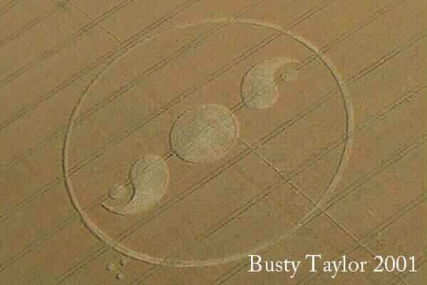 Whidcombe Brake, Somerset crop circle, aerial photo 20