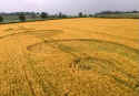 Whidcombe Brake, Somerset crop circle, aerial photo 3