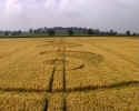 Whidcombe Brake, Somerset crop circle, aerial photo 4