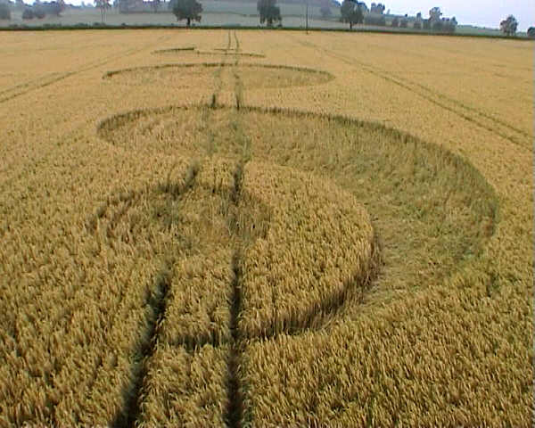 Whidcombe Brake, Somerset crop circle, aerial photo 2
