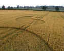 Whidcombe Brake, Somerset crop circle, aerial photo 6