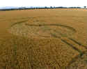 Whidcombe Brake, Somerset crop circle, aerial photo 7