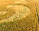 Whidcombe Brake, Somerset crop circle, aerial photo 8